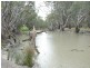 28 Billabong Creek Estate,, Conargo NSW 2710