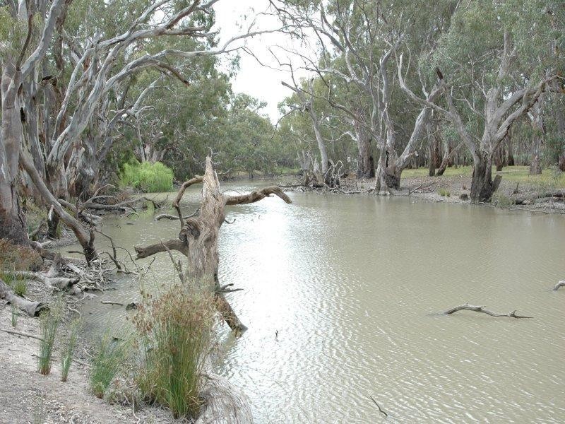 28 Billabong Creek Estate,, Conargo NSW 2710