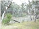 28 Billabong Creek Estate,, Conargo NSW 2710