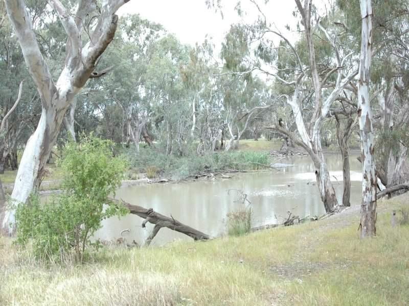 28 Billabong Creek Estate,, Conargo NSW 2710