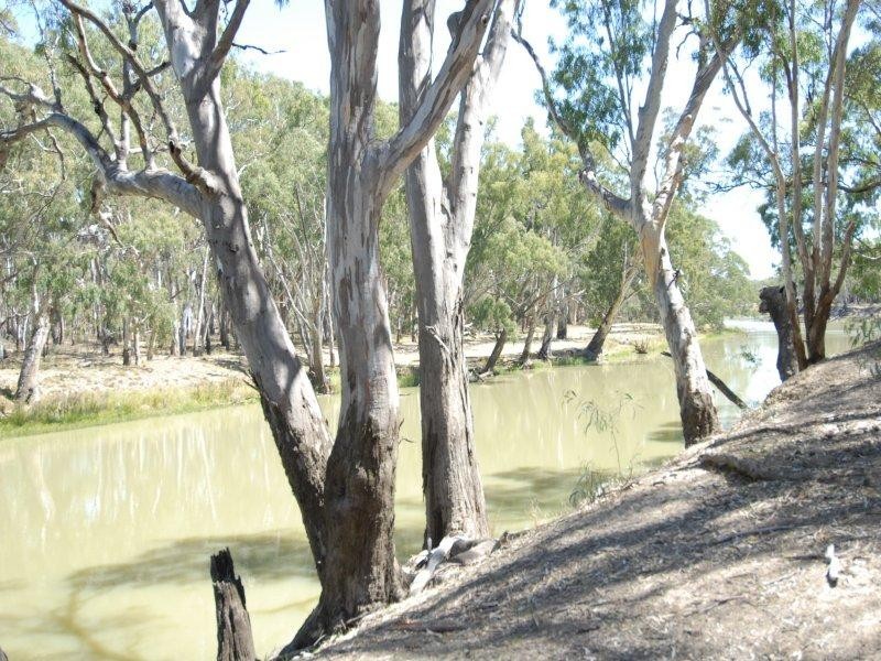 230 River Street, Deniliquin NSW 2710