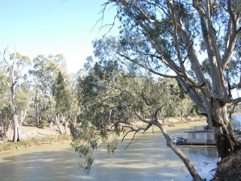 230 River Street, Deniliquin NSW 2710