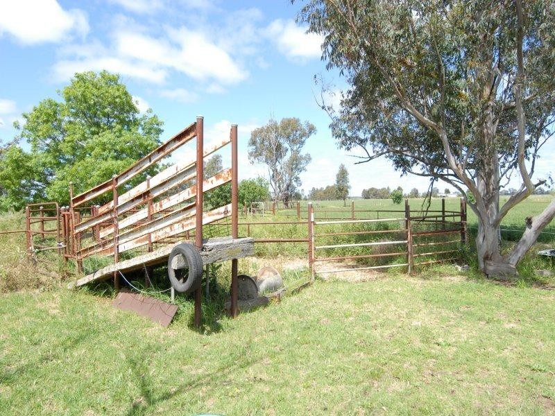 31 Flanagans Lane, Deniliquin NSW 2710