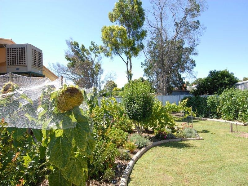 425 Wilkinson Street, Deniliquin NSW 2710