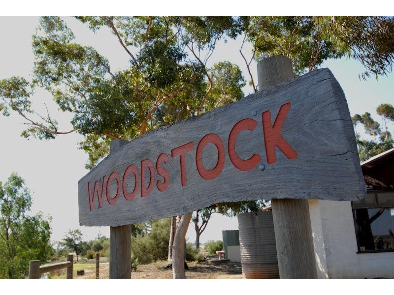 335 Flanagans Lane, Deniliquin NSW 2710