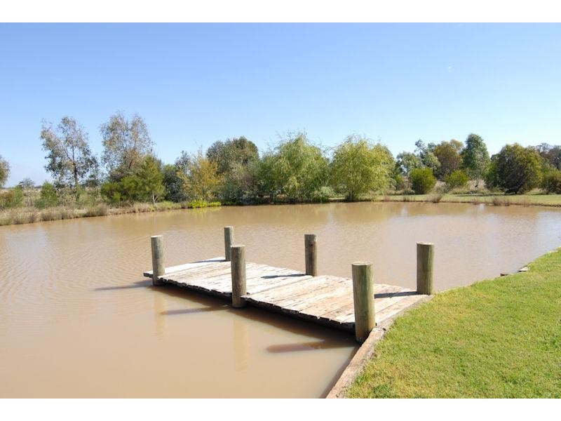 335 Flanagans Lane, Deniliquin NSW 2710