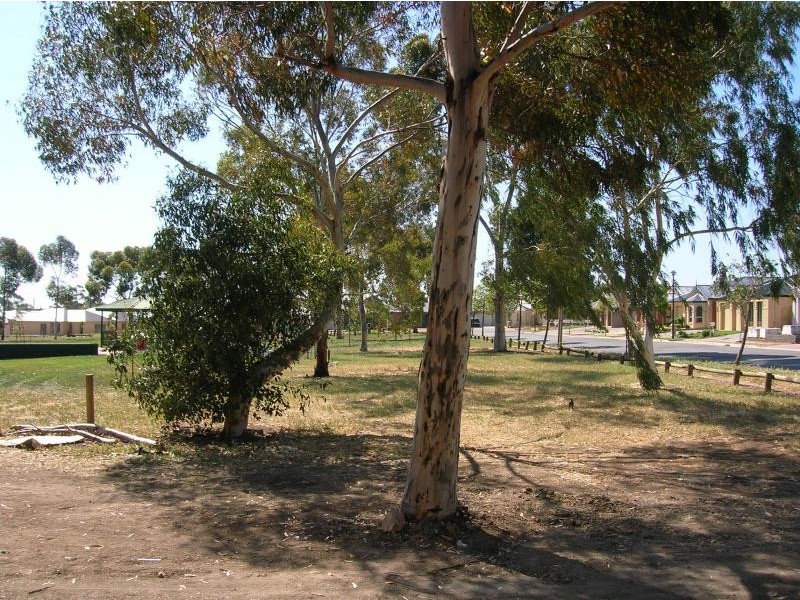 4 Grant Avenue, Gilles Plains SA 5086