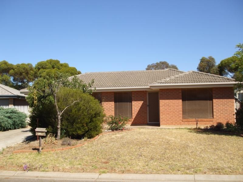 50 Greenfields Road, Andrews Farm SA 5114