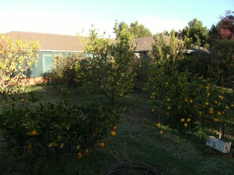 50 Julian Road, Macdonald Park SA 5121