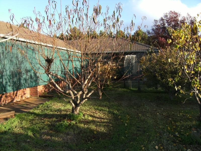 50 Julian Road, Macdonald Park SA 5121