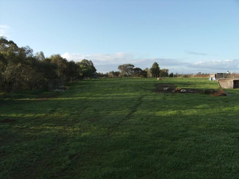 50 Julian Road, Macdonald Park SA 5121