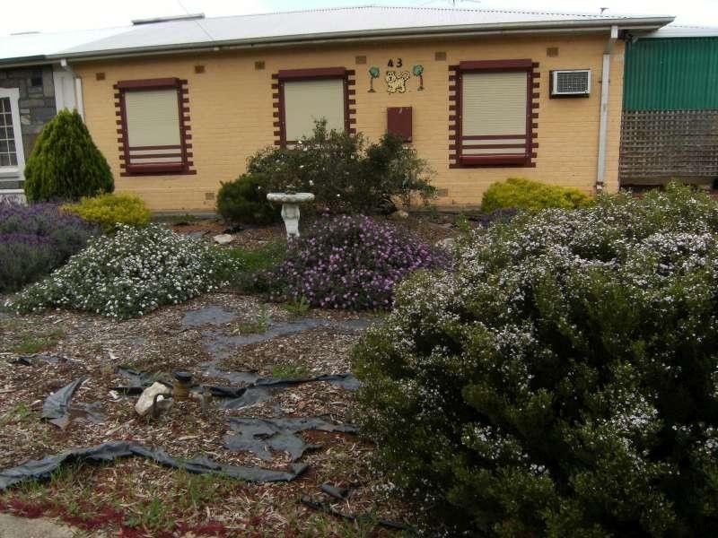 43 Mahood Street, Elizabeth Grove SA 5112