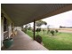 Lot 100 Warnest Street, Freeling SA 5372
