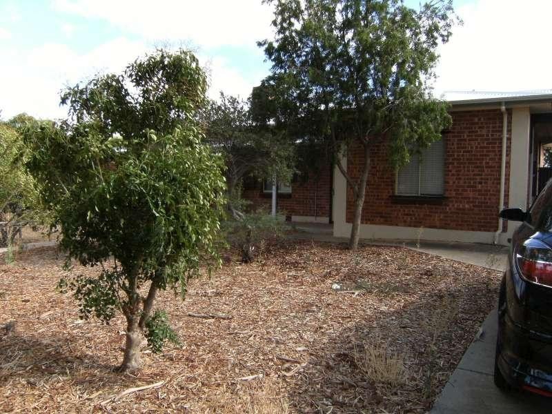 17 Burdell Street, Elizabeth Downs SA 5113