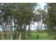 169 Burrum Street, Burrum Heads QLD 4659