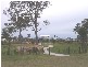 16 SANDCASTLES CIRCUIT, Burrum Heads QLD 4659