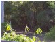 47 Kingfisher Pde, Toogoom QLD 4655