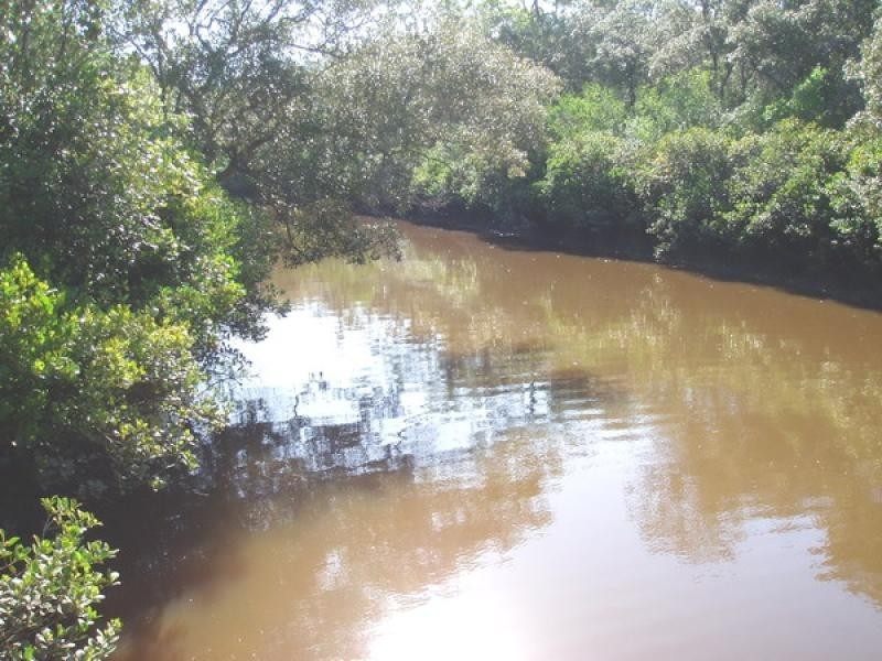52 PACIFIC HAVEN CIRCUIT, Pacific Haven QLD 4659