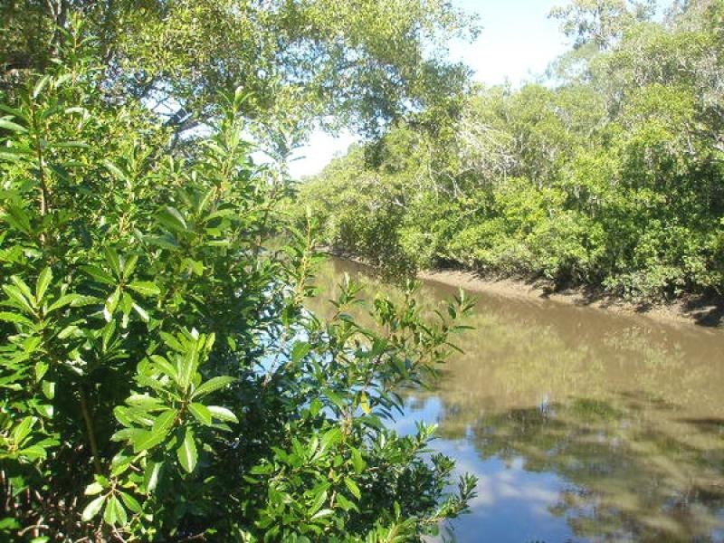 78 Pacific Haven Circuit, Pacific Haven QLD 4659