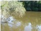Isis River QLD 4660