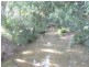 Isis River QLD 4660