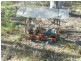 Isis River QLD 4660