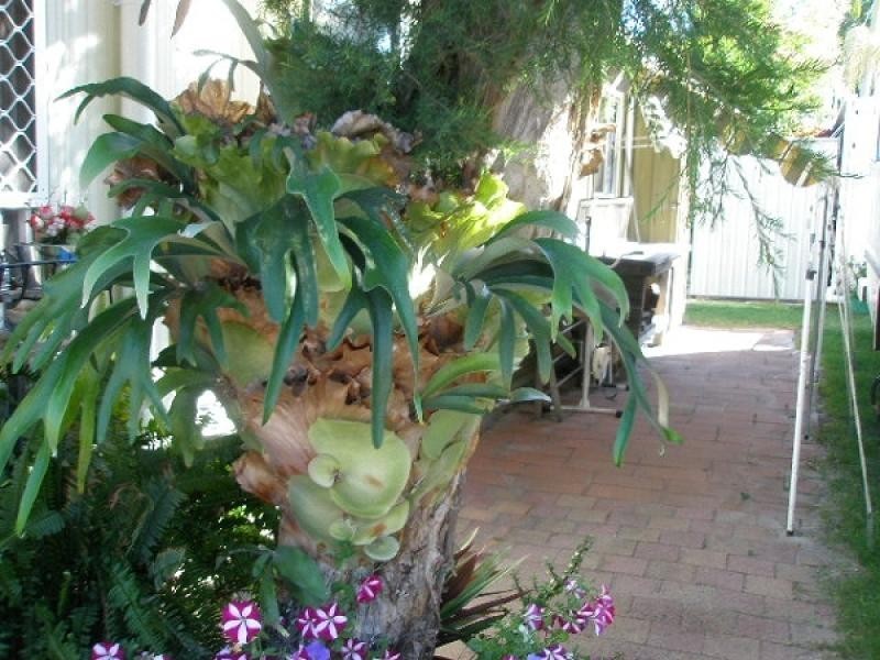 Lot 60, 1 Hillcrest Holiday Park, Howard Street, Burrum Heads QLD 4659