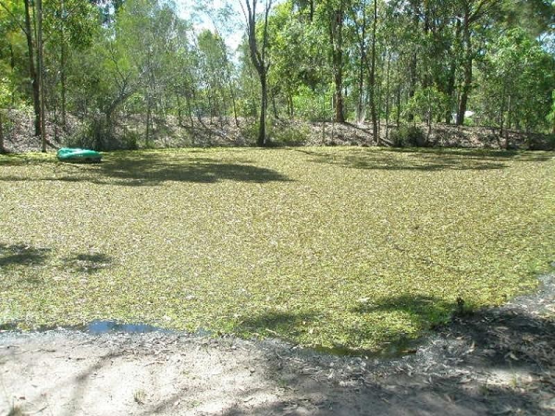Lot 5 , 16 Miller Crescent, Burrum Heads QLD 4659