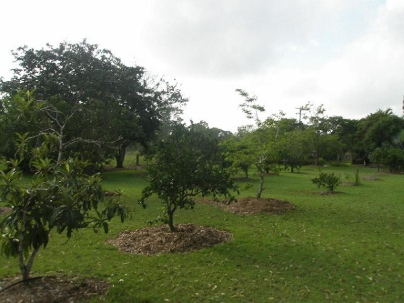 1756 Torbanlea Pialba Road, Burrum Heads QLD 4659