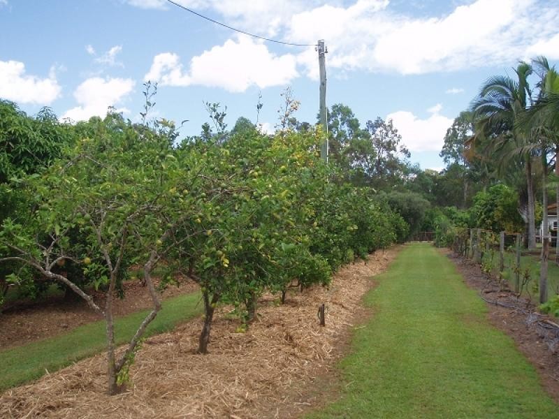 2 Thomas Street, Howard QLD 4659