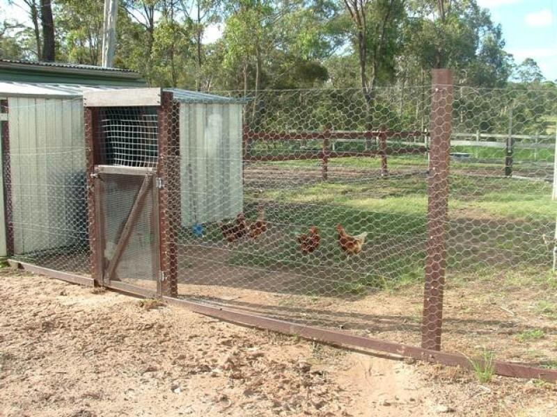 1753 Torbanlea Pialba Road, Burgowan QLD 4659