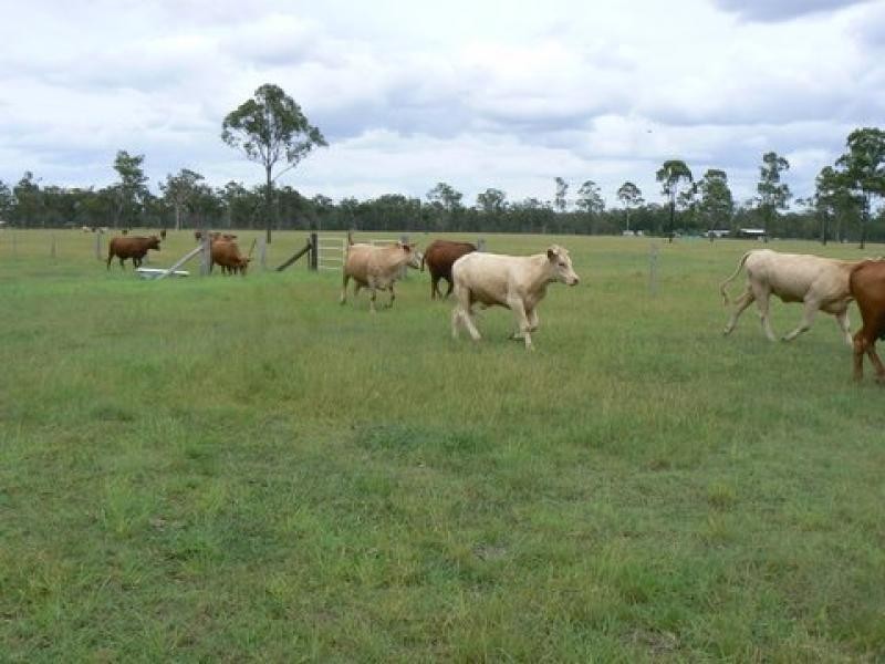 32 Roberts Road North, Torbanlea QLD 4662