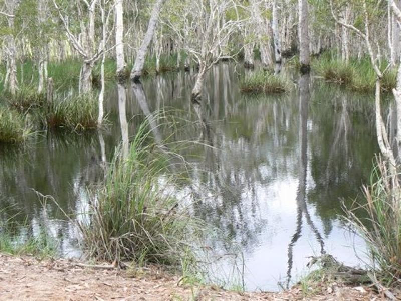 32 Roberts Road North, Torbanlea QLD 4662