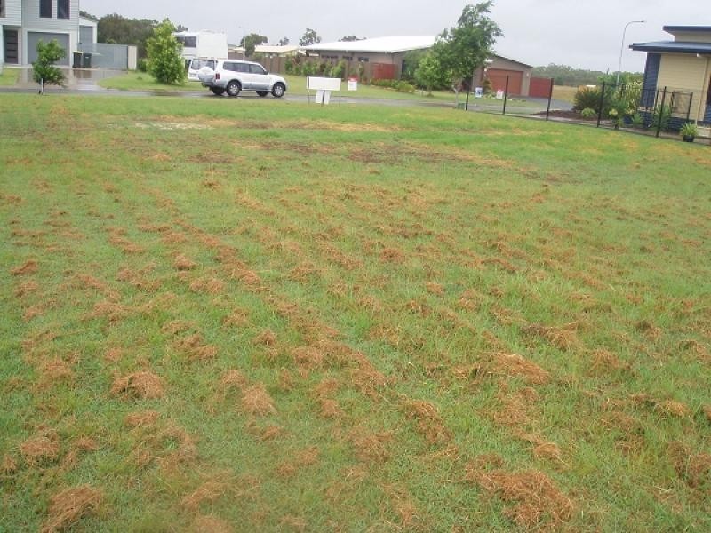 9 Traviston Way, Burrum Heads QLD 4659