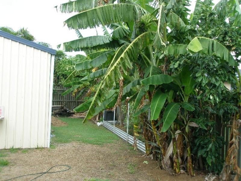 11 Warringal Court, Burrum Heads QLD 4659