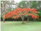 294 Pacific Haven Circuit, Pacific Haven QLD 4659