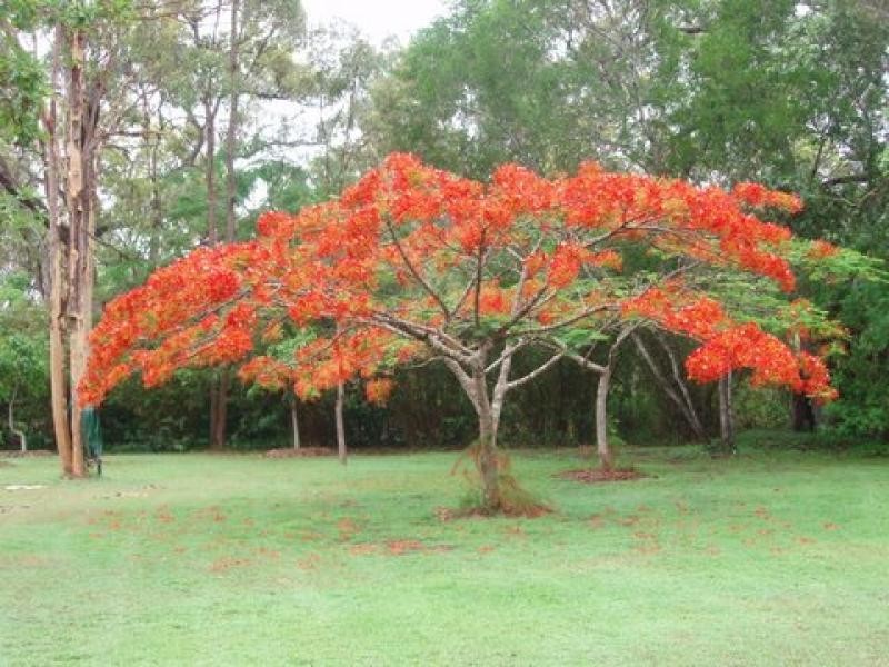 294 Pacific Haven Circuit, Pacific Haven QLD 4659