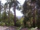 7 Russell Creek Road, Fumina South VIC 3825