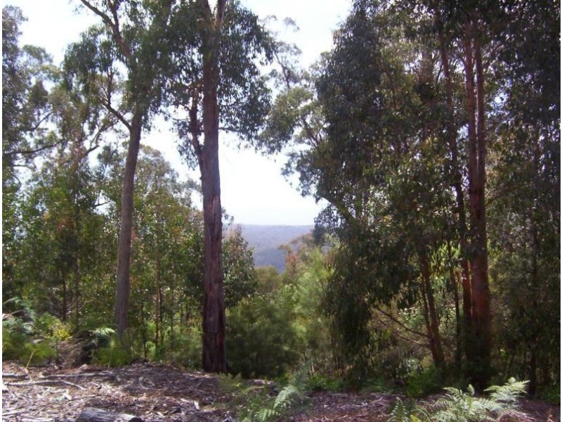 7 Russell Creek Road, Fumina South VIC 3825