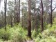 7 Russell Creek Road, Fumina South VIC 3825