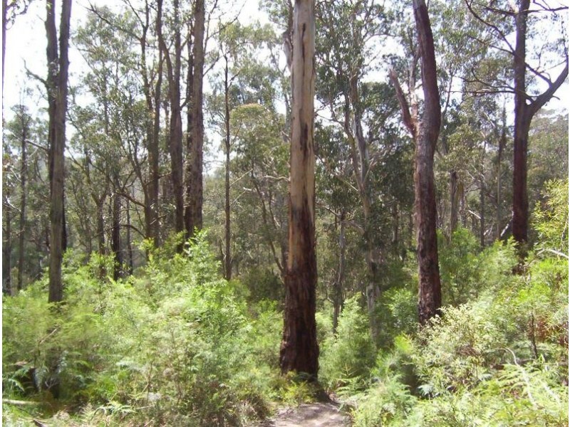7 Russell Creek Road, Fumina South VIC 3825