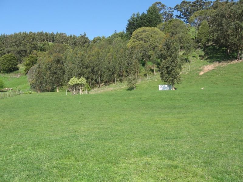 1019 DARNUM ALLAMBEE ROAD, Cloverlea VIC 3822