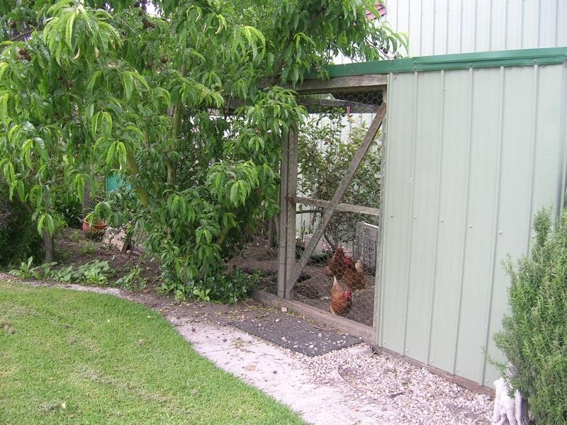 66 YOUNG STREET, Darnum VIC 3822