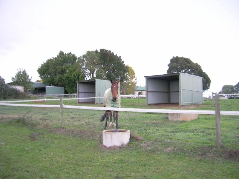 72 Ryans Road, Buln Buln VIC 3821