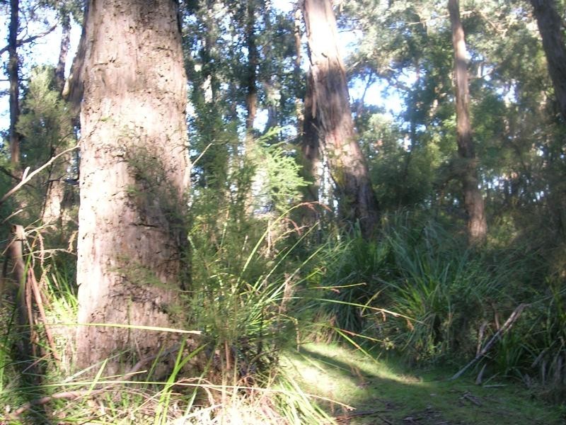 64 Baldwins Road, Nilma North VIC 3821