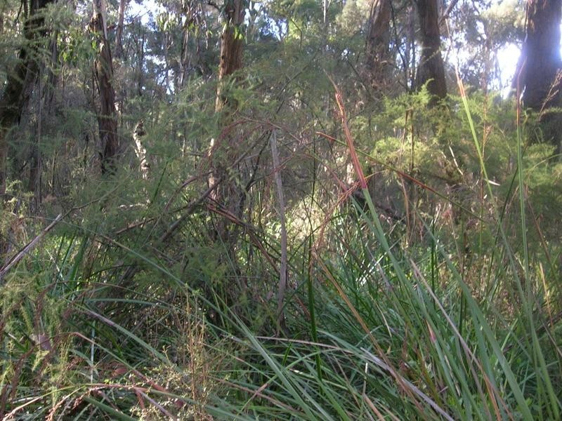 64 Baldwins Road, Nilma North VIC 3821