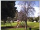 16 Boronia Street, Warragul VIC 3820