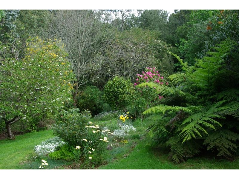 65 Fowlers Road, Ellinbank VIC 3821