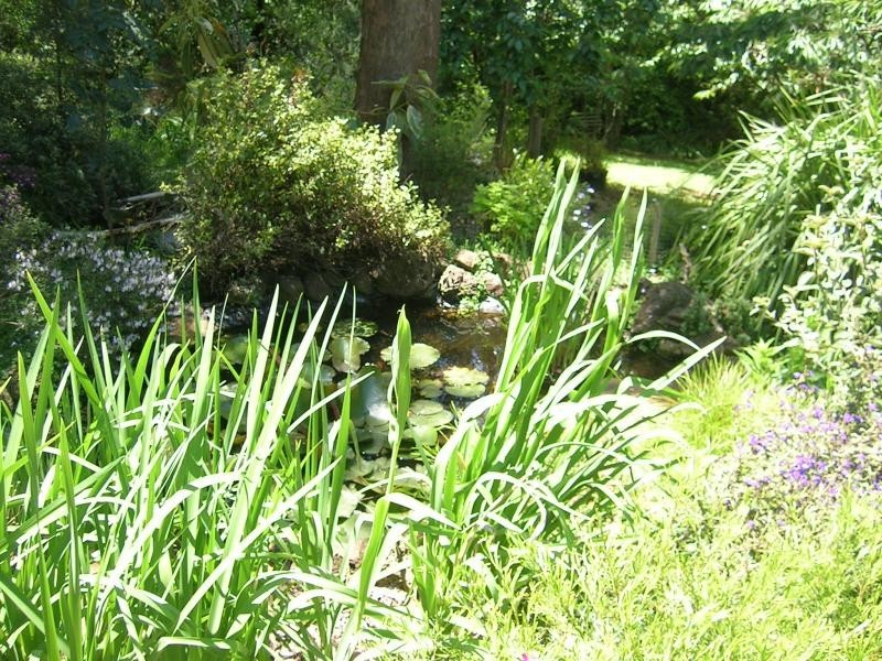 65 Fowlers Road, Ellinbank VIC 3821