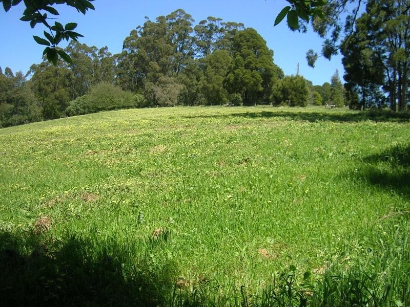 65 Fowlers Road, Ellinbank VIC 3821